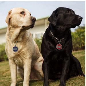 2018 Горещи продажба куче или котка ID Tags гравиран или QR кода Pet маркер