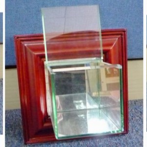 Калъф за витрина с бейзбол