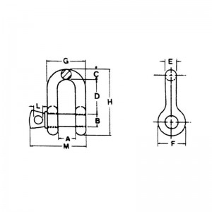 Щатски ковани винтови щифтове за изваждане тип US