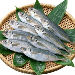 Замразена скумрия