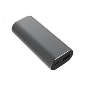 WS-P2 Ушни гласни преводачи за уши