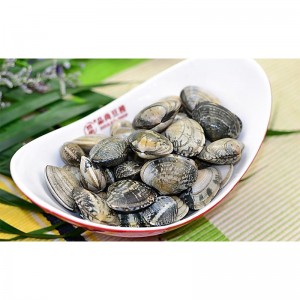 ЗАМЪРСЕН КЛЕМ ЗА ШОЛИРАНЕ