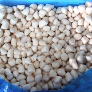 Замразено месо от морски гребен