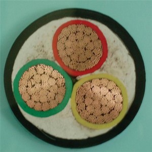 0.6 / 1kv 3 X 6mm2 LV захранващ кабел Pvc изолиран Cu твърд / многожилен проводник