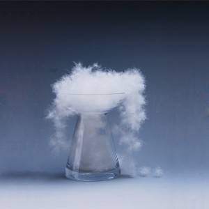 Естествена патица, материал от гъши пух