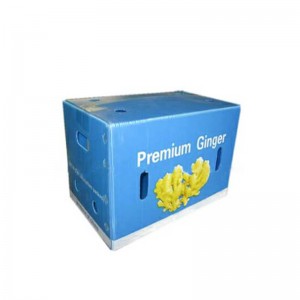 Кутия за джинджифил