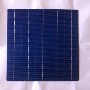 Поликристална клетка