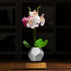 магнитна левитация плаваща растителна саксия въздух бонсай PA-0708