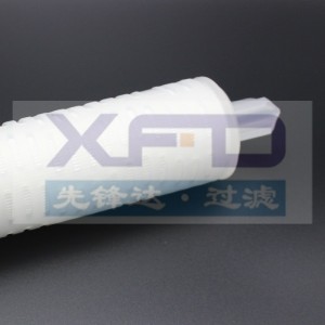 Касета с плисиран филтър --- RFG