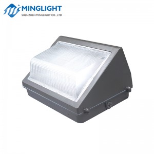 LED стенна лампа WPB 100W