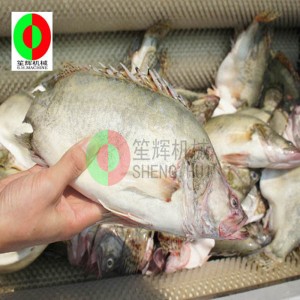 Машина за почистване на плодове с пъпеш / машина за белене на плодове с пъпеш / машина за почистване на плодове с пъпеш с плодове с ...