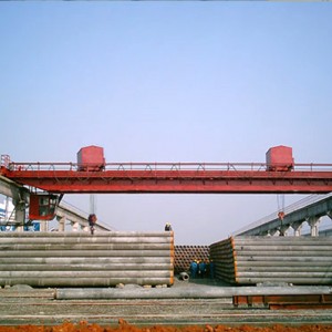 Двойна греда надземен кран с двойна количка