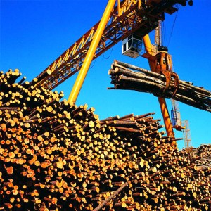 Козлов кран с грабване