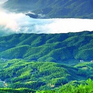 десет чайове чай чай нюан anhua черен чай здравеопазването чай