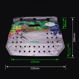 Еко приятел приятел отпечатана пластмасова торбичка за опаковане на цип от плодове с отвори за отваряне