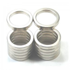 Персонализирайте монополен пръстен магнит.