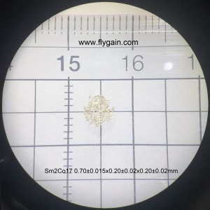 Персонализиран отличен рядкоземен постоянен микро магнит