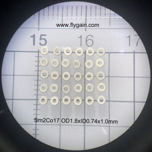 Китайски производител Микро прецизен малък магнит за мотор