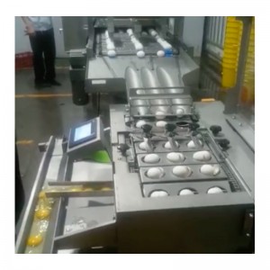 WXD96 Машина за миене и подсушаване на яйца