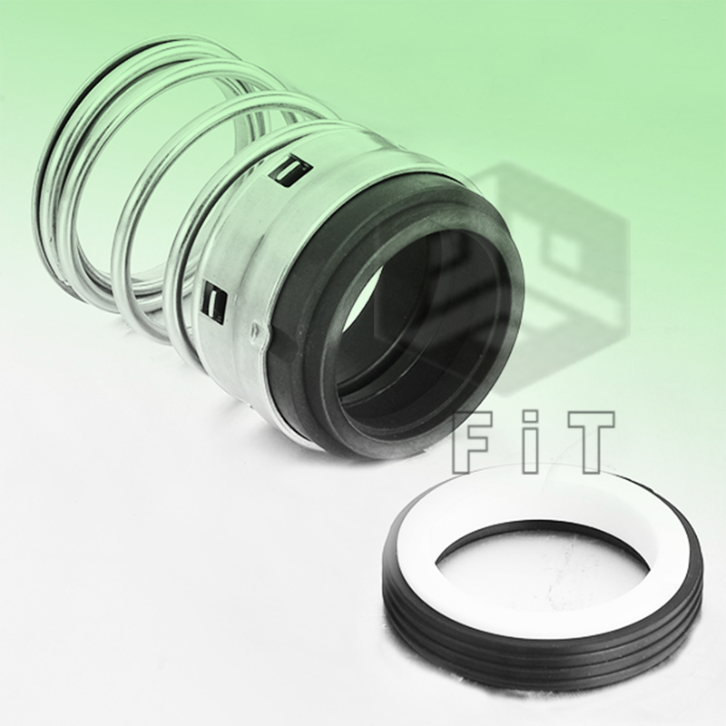 Механични уплътнения от еластомер FT1B