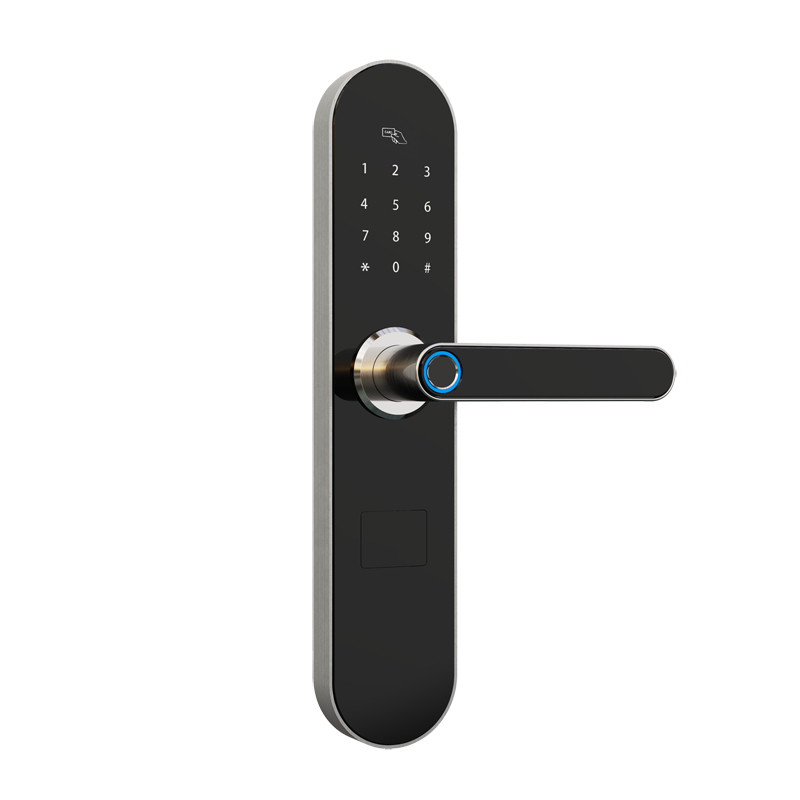 На едро Fingerprint APP Smart Door Lock с дистанционно отключване на wifi и заявка за отключване на запис