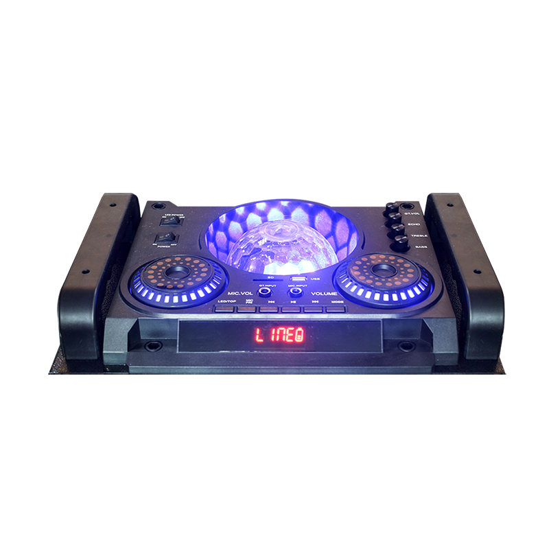 Троличен високоговорител Y-K9-24M2H