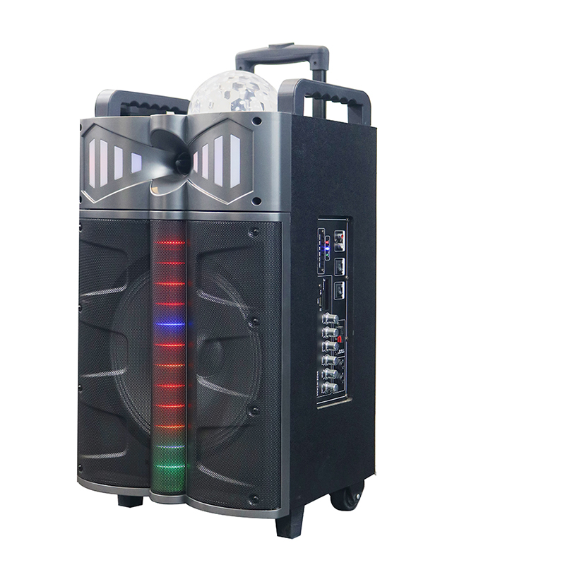 Тролически говорител Y-DJ1201-12H