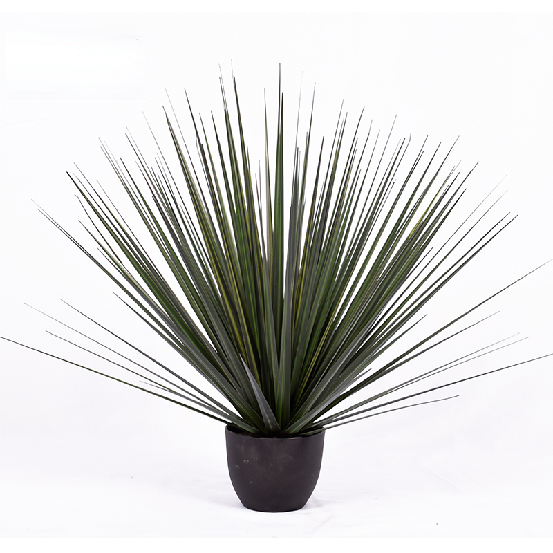 OH10920001/ OH10920002/ OH10920003