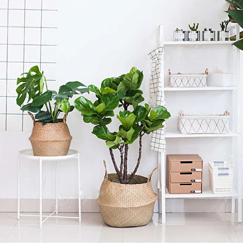 Кошница за корем от морски треви за растителна стойка за съхранение висяща кошница с морска трева