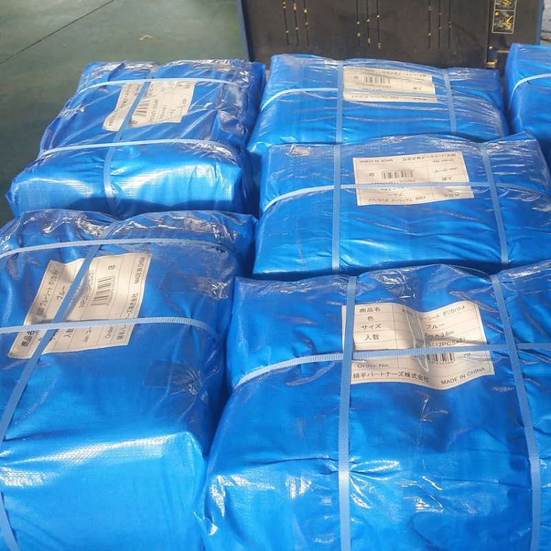 По поръчка полиетилен Tarp China Pe Брезент с очила