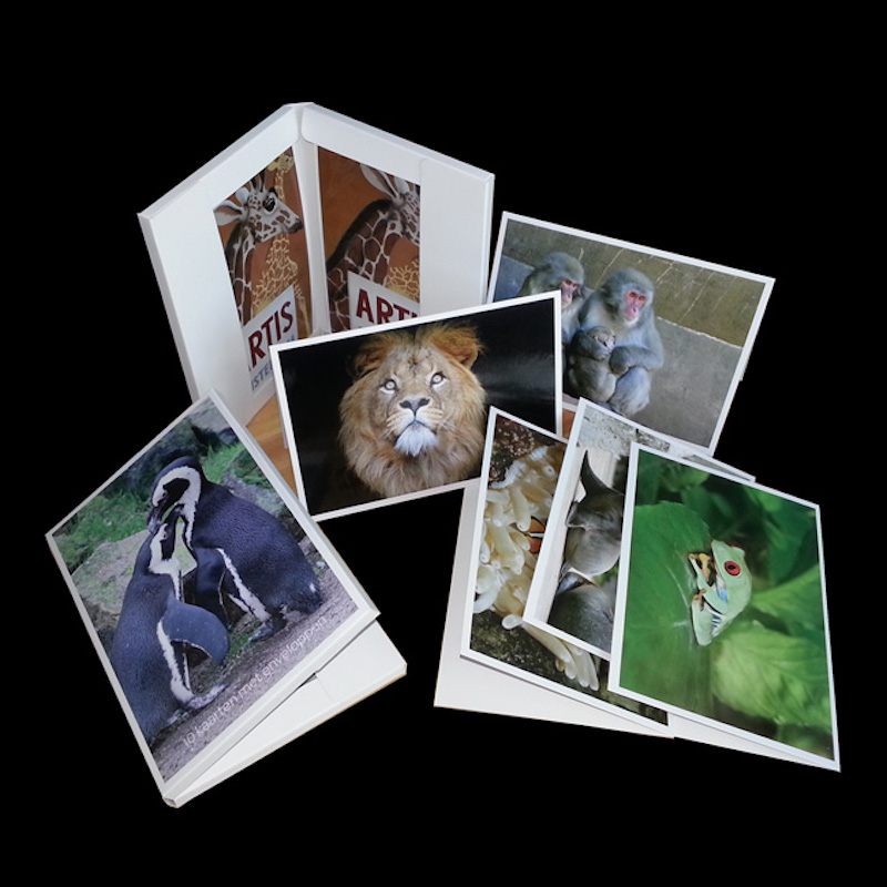 Поздравителна картичка за всички поводи, хартиена карта, с пликове.Сувенири за пътешественици