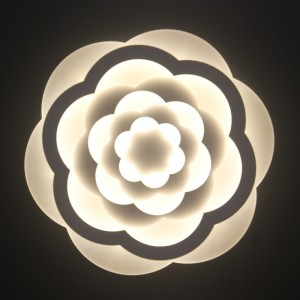 AC805 Таванна светлина