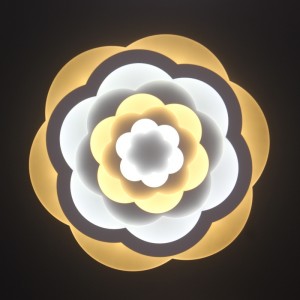 AC805 Таванна светлина