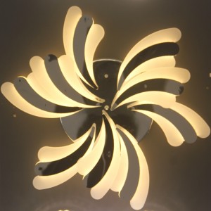 Constellation name (optional)