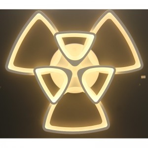 Constellation name (optional)