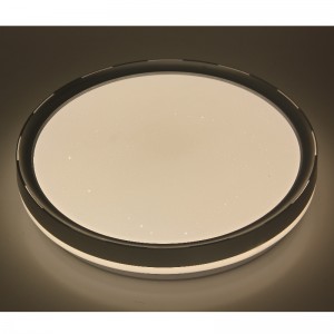 CX236 Таванна светлина