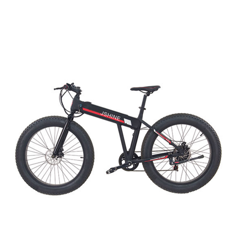 S2-X1 EBIKE