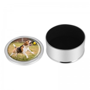 Метална урна за кучешка пепел