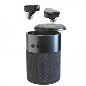 FB-BB20 TWS слушалки+ Bluetooth Speaker 2 в 1 Combo