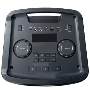 FB-PS210 Design Bluetooth Party Speaker с RGB LED Flame Light