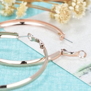 Обикновени обеци на личността