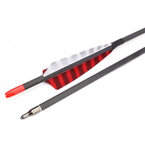 Elong външен 112837 ID6.2mm SP500 въглеродни влакна arrow Турция перо стрелба с лък