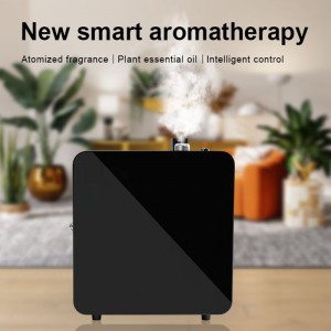 DW-1000AROMA DIFFUSER