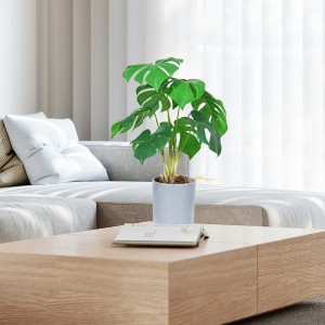 Фабрика пряко доставят гореща продажба изкуствена зелена декоративна с хубаво изглеждащо и истинско докосване