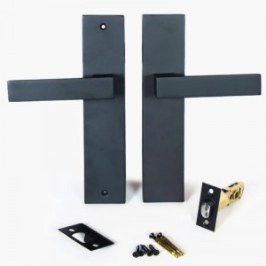 6203 Модерна цинкова сплав входна дръжка на вратата Заключване на дръжката за влизане на комплекти входна врата комплект