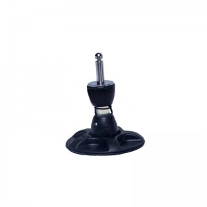 Съвместно на основата на сухожилие. \\\\ T