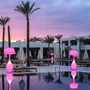 Morden Style Flight Light Multicolor Smart Speaker Fload Lamp Home Standing Lamp с батерия