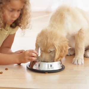 2022 Amazon Hot Sale Seal Rat за защита от твърда дървесина прозрачен pp офис бюро стол