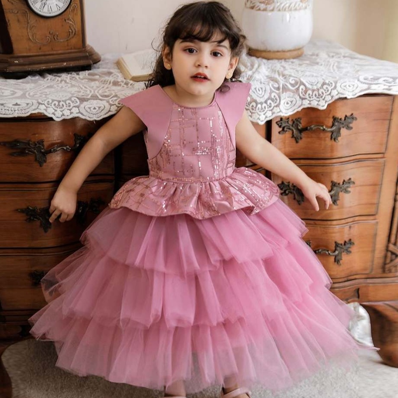 Baige New Design Toddler Baby Girl Rancess Princess Tulle Tutu Dress Kids Wedding Paint Ressions