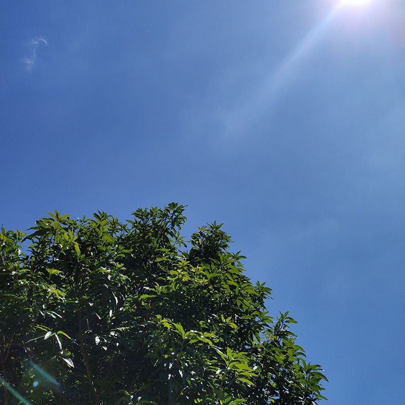 Отпуснете се